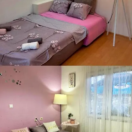 סטרוגה Central Comfort Apartment 5 Minute Walk To Beach, Free Parking, 2 Br מראה חיצוני תמונה